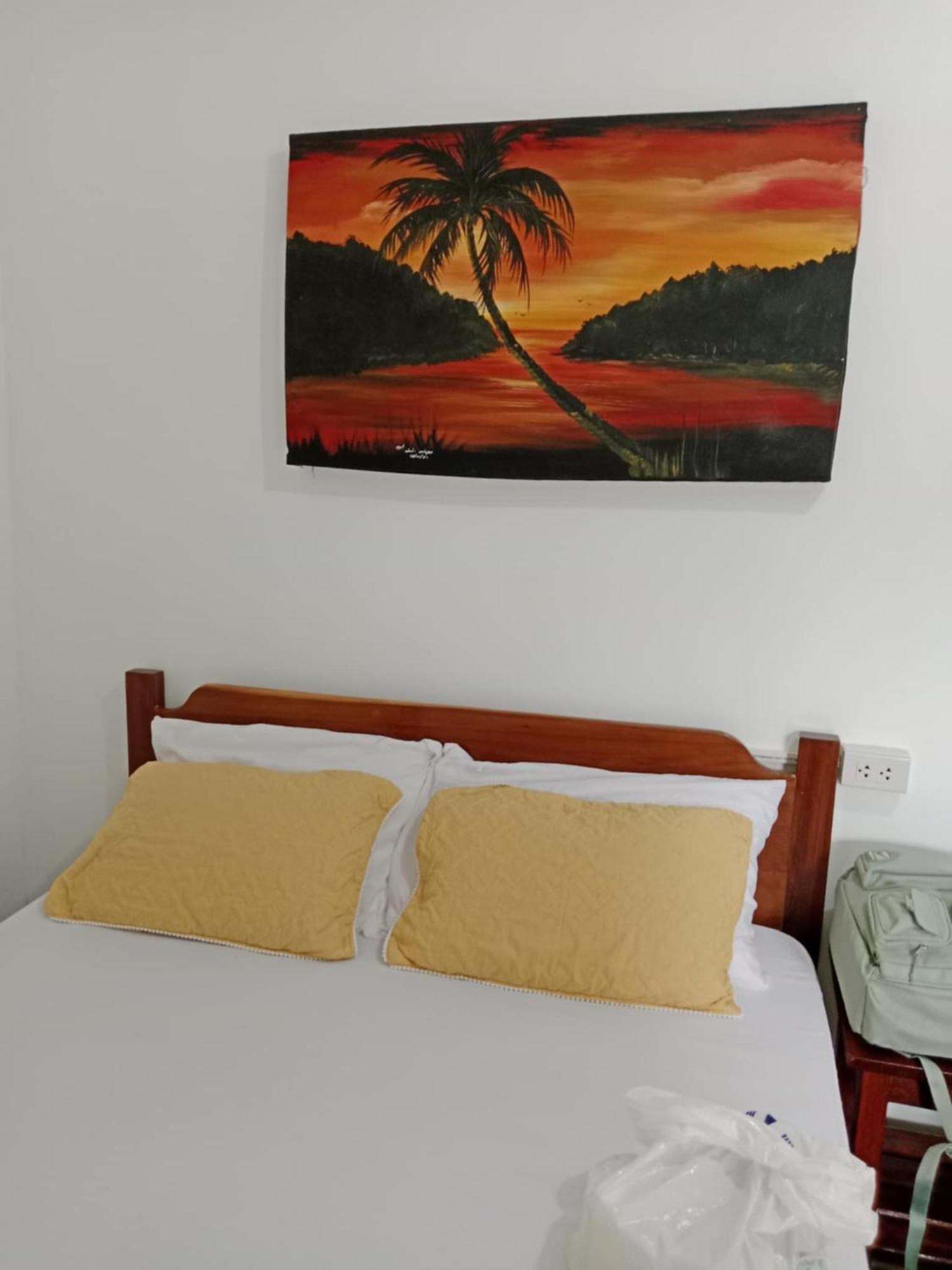 Jeno Tourist Inn San Vicente  Extérieur photo